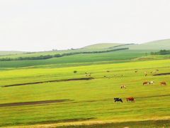 -顶顶汤火牛排火锅·经典铜锅涮肉