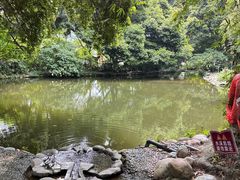 -成都市活水公园