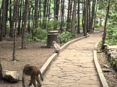 -山西通天峡景区