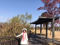 -上海长兴岛郊野公园