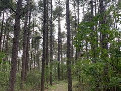 -白草畔自然风景区