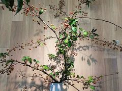 -山下C5cafe(惠通时代广场店)