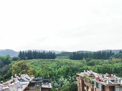 -阳光高尔夫俱乐部