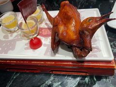 红烧乳鸽-大鸽饭(北京路店)
