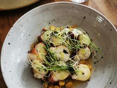 八爪鱼配烤玉米-BOR Eatery(安福路店)