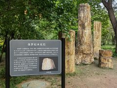 -国家植物园南园