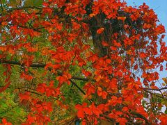 -斯多格书乡(北京大学畅春园店)