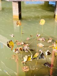 -北京郡王府饭店·宴会厅