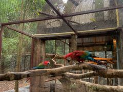 -清迈夜间动物园