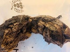 -酵墅·手感烘焙(印象汇店)