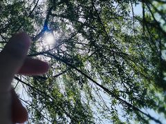 -常德桃花源景区