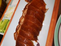 -松沪名灶·豆浆鱼头·新上海菜(飞航吾悦广场店)
