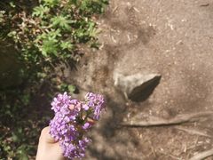 -青峰峡国家森林公园