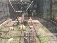 -沈阳森林动物园