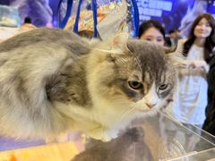 -南宁国际会展中心