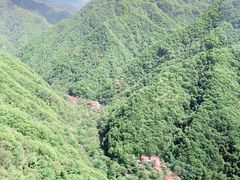 -陕西省红河谷森林公园
