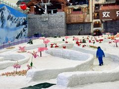 -湘江欢乐城欢乐雪域