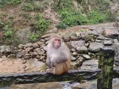-姑婆山旅游区