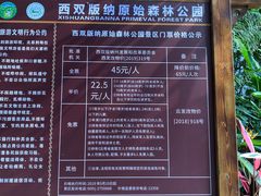 -西双版纳原始森林公园