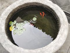 -不倒翁·徽天下名菜楼(马鞍山路店)