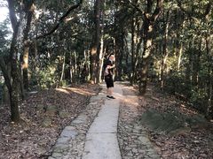 -西湖风景区十里琅珰-五云山