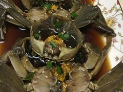 -向阳庄烧烤店(望京西园店)