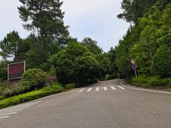 -铁山坪森林公园