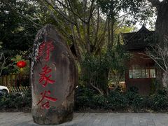 -野象谷景区