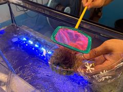 -席娜卡琳火车铁道夜市