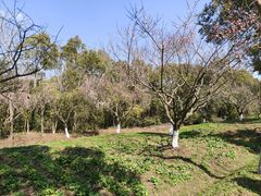 -上海海湾国家森林公园