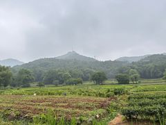 -北高峰