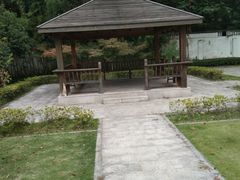 -上海财经大学-新食堂