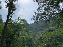 -南海湾森林生态园