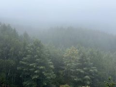 -塞罕坝国家级自然保护区