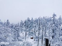 -瓦屋山景区