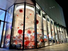 -TESLA 特斯拉(广州天环广场体验店)