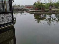 -老杨砂锅鱼庄