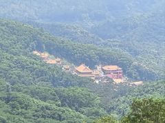 -东莞市大岭山森林公园