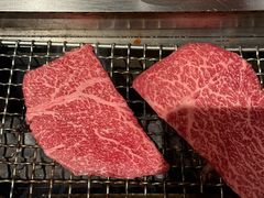 -俺的焼肉(銀座9丁目店)