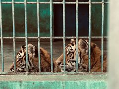 -如皋市龙游湖欢乐世界