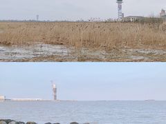 -上海吴淞炮台湾国家湿地公园