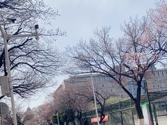 -吉林大学(南岭校区)