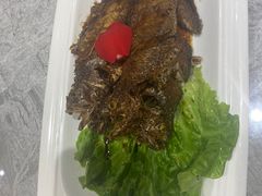-老绍兴养和饭店(向阳不夜城店)