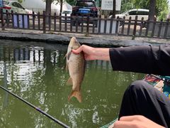 -酷鱼垂钓CLUB(朝阳区博大路店 )