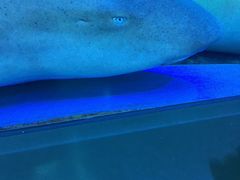 -马来西亚美食街