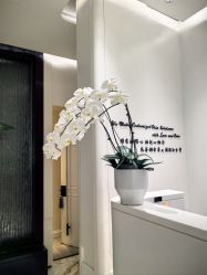 -奥斯芬·欧系贵族SPA