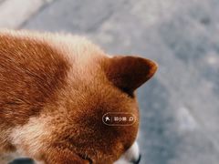 -北京古城老院厉晓麟精致菜