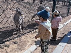 -大连森林动物园