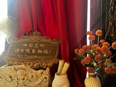-雪灵魔法世界SHELLY’S TAROT(大良桂畔里店)