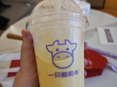 -一只酸奶牛(八一路店)